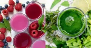 best juicer juice recipes